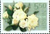 Rose Champagne