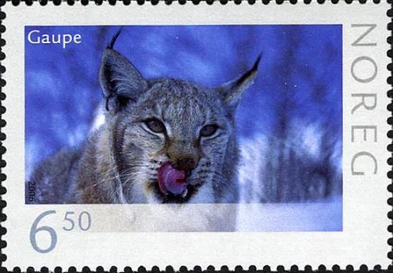 Lynx (Lynx lynx)