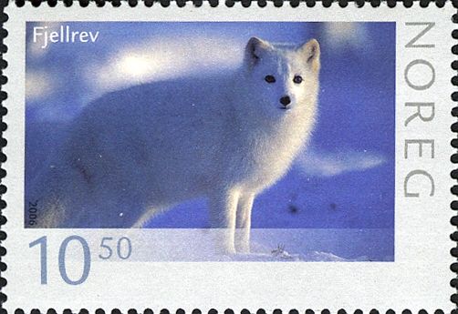Arctic Fox (Alopex lagopus)