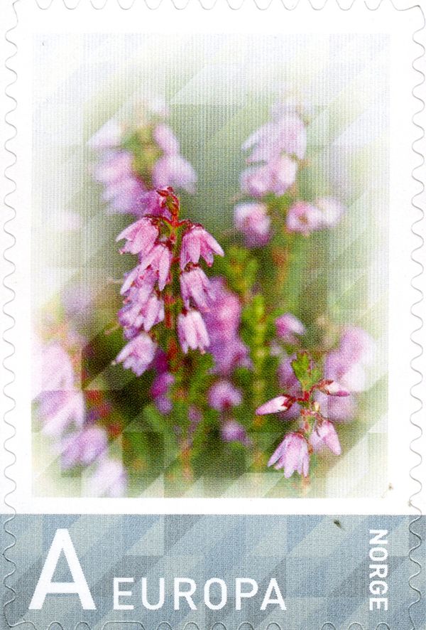 Personalised Stamp - Heather