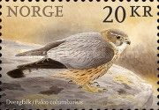 Merlin (Falco columbarius)