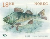 River Perch