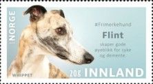 Flint