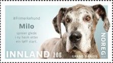 Milo