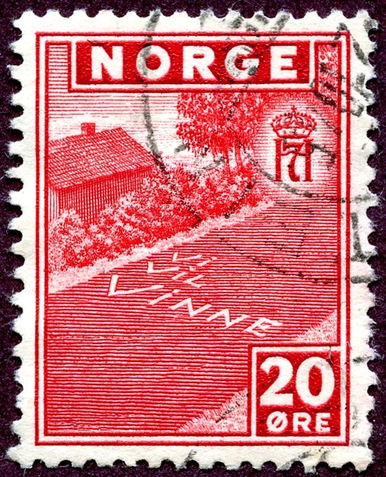 "Vi Vil Vinne": We will be victorious