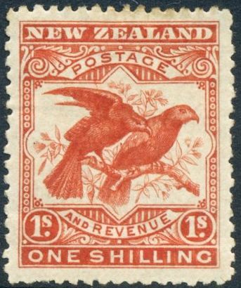 Kea (Nestor notabilis), Kaka (Nestor meridionalis)
