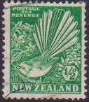 New Zealand Fantail (Rhipidura fuliginosa)