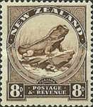 Tuatara (Sphenodon punctatus)