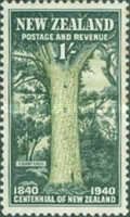 Giant Kauri Tree