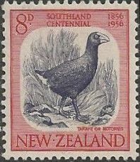 Takahe or Notornis (Porphyrio hochstetteri)