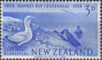 Australian Gannets (Morus serrator) on Cape Kidnappers