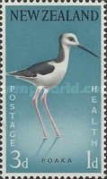 Pied Stilt (Himantopus leucocephalus)