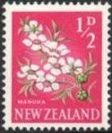 Manuka (Leptospermum scoparium)