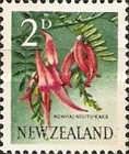 Kowhai-ngutu-kaka (Clianthus puniceus)