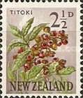 Titoki / New Zealand Oak (Alectryon excelsus)