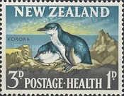 Little Penguin (Eudyptula minor)