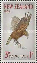 Kaka (Nestor meridionalis)