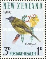 New Zealand Bellbird (Anthornis melanura)