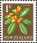 Karaka (Corynocarpus laevigatus)