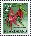 Kowhi Ngutu-kaka (Clianthus puniceus)