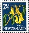 Kowhai (Sophora microphylla)