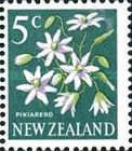 Pikiarero (Clematis paniculata)
