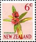 Koromiko (Hebe salicifolia)