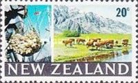 Consignments of Beef and Herds of Cattle