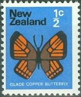 Glade Copper Butterfly (Lycaena feredayi)