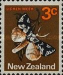 South Island Lichen Moth (Declana egregia)