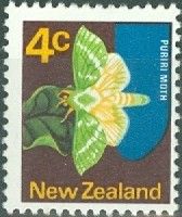 Puriri Moth (Aenetus virescens)