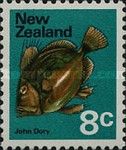John Dory (Zeus faber)