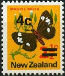 Magpie Moth (Nyctemera annulata) - Surcharged