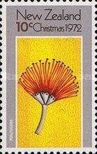 Pohutukawa (Metrosideros excelsa)