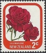 Rose "Lilli Marlene"