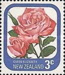 Rose "Queen Elizabeth"