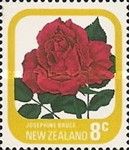 Rose "Josephine Bruce"