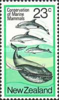 Humpback Whale and Bottlenose Dolphins