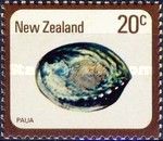 Paua Sea Shell (Haliotis iris)