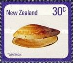 Toheroa (Paphies ventricosa)