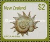 Circular Saw Turban (Astraea heliotropium)
