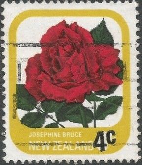Rose "Josephine Bruce" - Surcharged