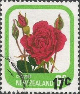 Rose "Cresset" - Surcharged