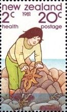 Girl and Starfish