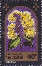 Tainui Flower