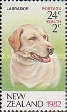 Health - Labrador Retriever 24c + 2c