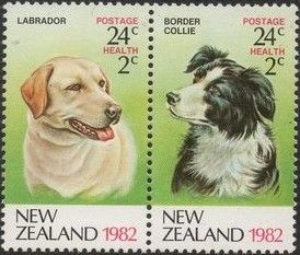 Health - Border Collie 24c + 2c
