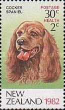 Health - Cocker Spaniel 30c + 2c