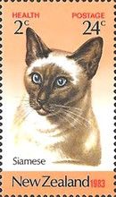 Siamese Cat (Felis silvestris catus) 24c+ 2c