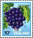 Grapes (Vitis vinifera)